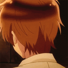 APH Spain
